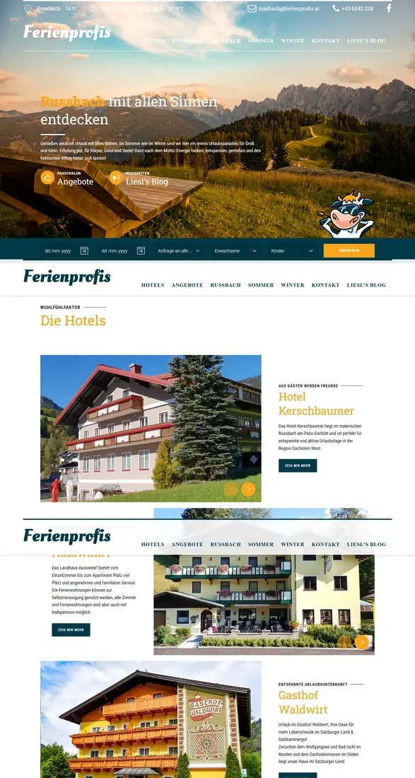 ferienprofis.at am Laptop